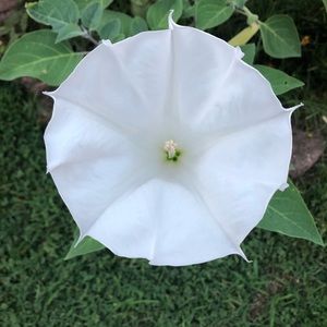 Meet your Posher, Makayla